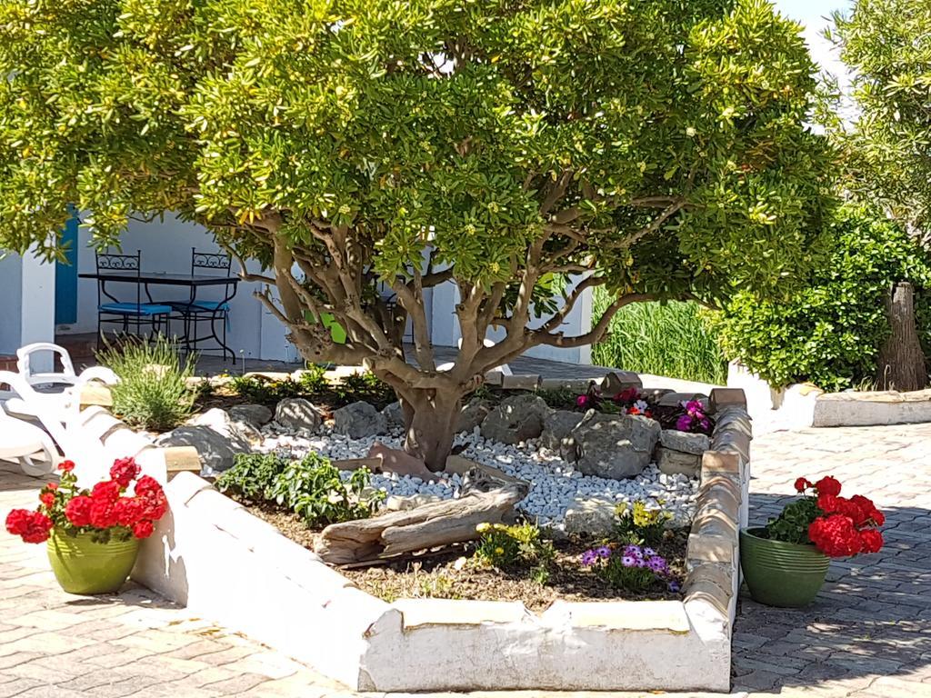 L'Auberge Camarguaise Saintes-Maries-de-la-Mer Exteriér fotografie